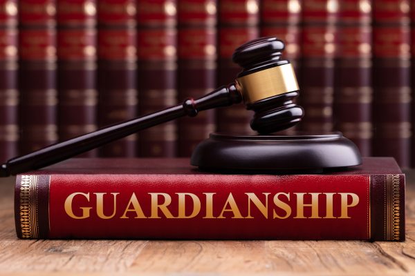 What is article 81 guardianship?